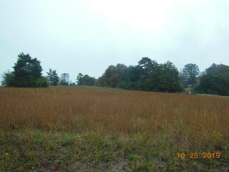 0 Co Rd 703, Athens, TN 37303