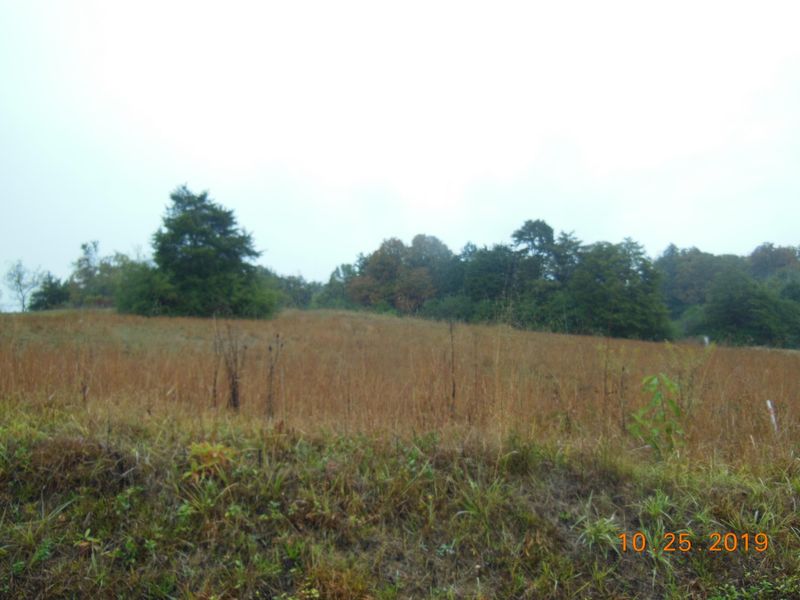 0 Co Rd 703, Athens, TN 37303