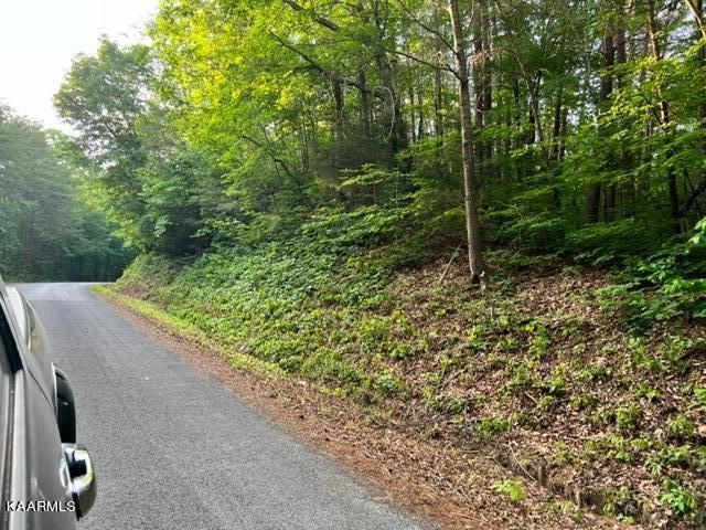 0 Co Rd 875, Etowah, TN 37331