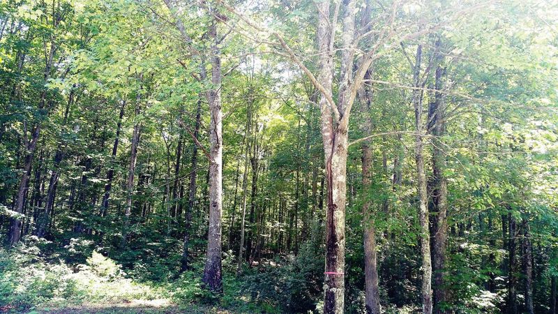 0 Coal Hill Rd, Harriman, TN 37748