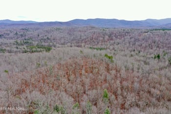 0 Coal Hill Rd, Sunbright, TN 37872