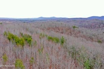 0 Coal Hill Rd, Sunbright, TN 37872