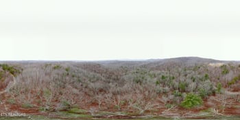 0 Coal Hill Rd, Sunbright, TN 37872