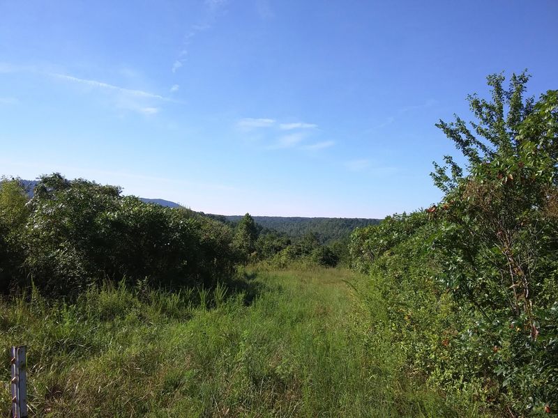 0 Coalhill Rd, Sunbright, TN 37872