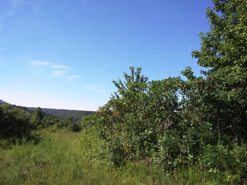 0 Coalhill Rd, Sunbright, TN 37872