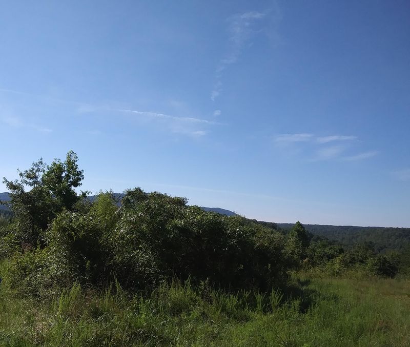 0 Coalhill Rd, Sunbright, TN 37872