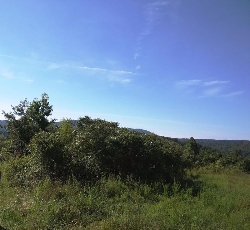 0 Coalhill Rd, Sunbright, TN 37872