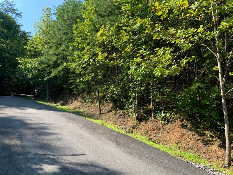 0 Cobblestone Way, Townsend, TN 37882