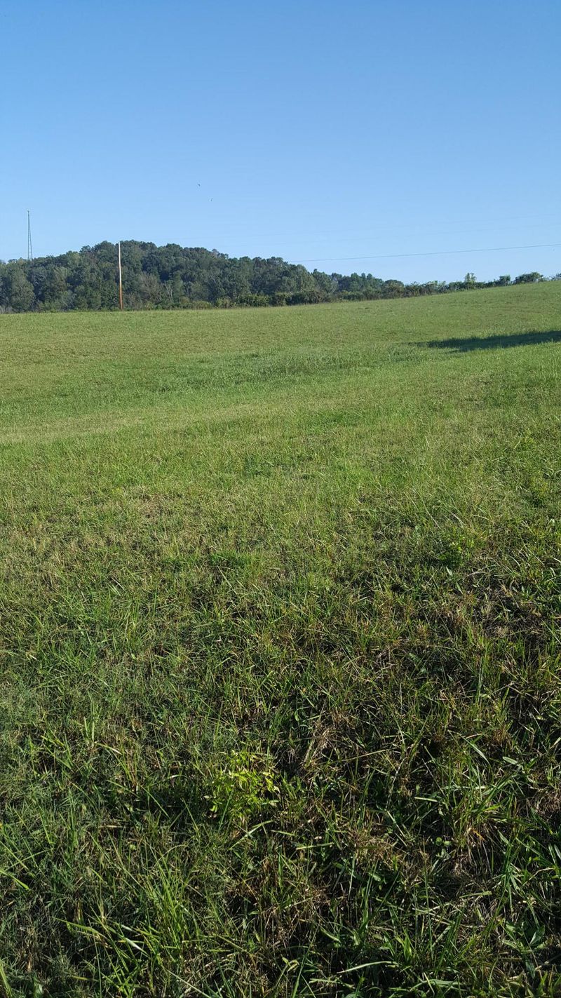 0 Coffey Hts, Rutledge, TN 37861