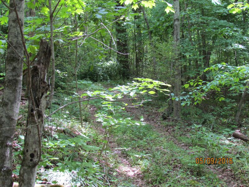 0 Collier, Kingston, TN 37763