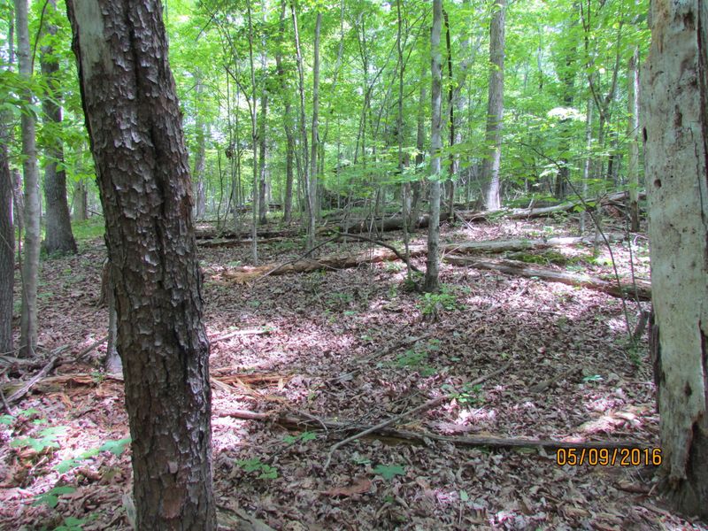 0 Collier, Kingston, TN 37763