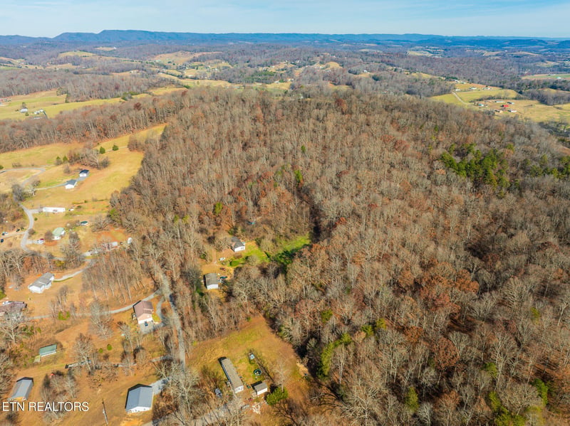 0 Collins Rd, Blaine, TN 37709