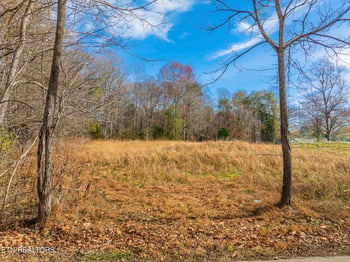 0 Collins Rd, Blaine, TN 37709