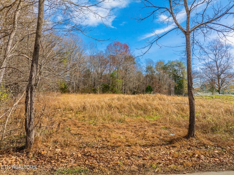0 Collins Rd, Blaine, TN 37709