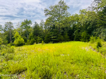 0 Collins Tpke, Deer Lodge, TN 37726