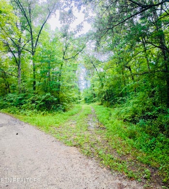 0 Collins Tpke, Deer Lodge, TN 37726