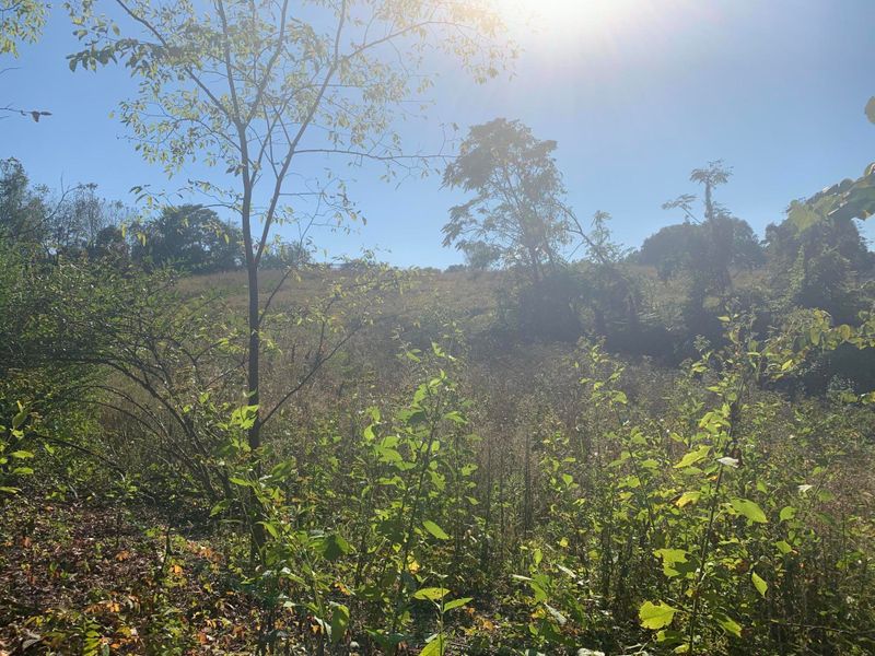 0 Collinson Ford Rd, Morristown, TN 37814