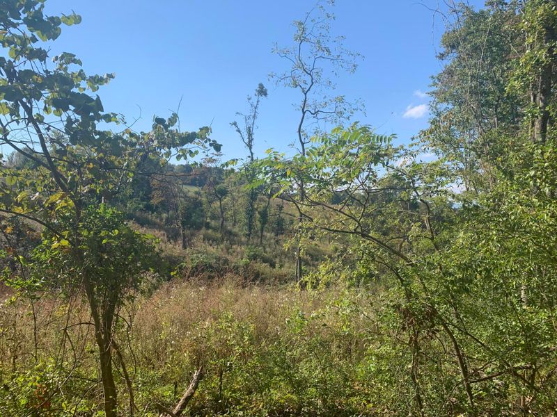 0 Collinson Ford Rd, Morristown, TN 37814