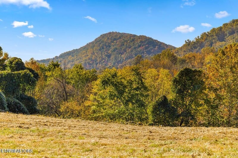 0 Colonial Ln, Rocky Top, TN 37769