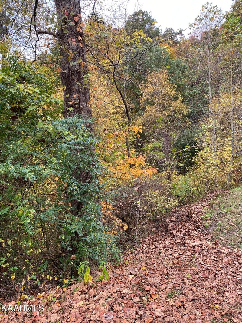 0 Comb Ridge Rd, Maynardville, TN 37807