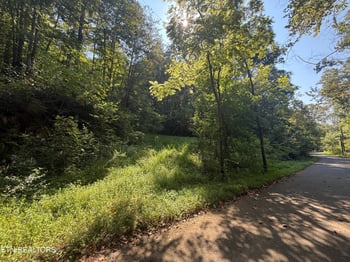 0 Community Park Rd, Seymour, TN 37865
