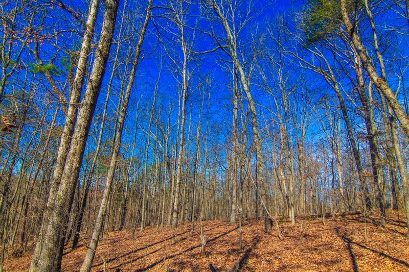 0 Concord Rd, Knoxville, TN 37934