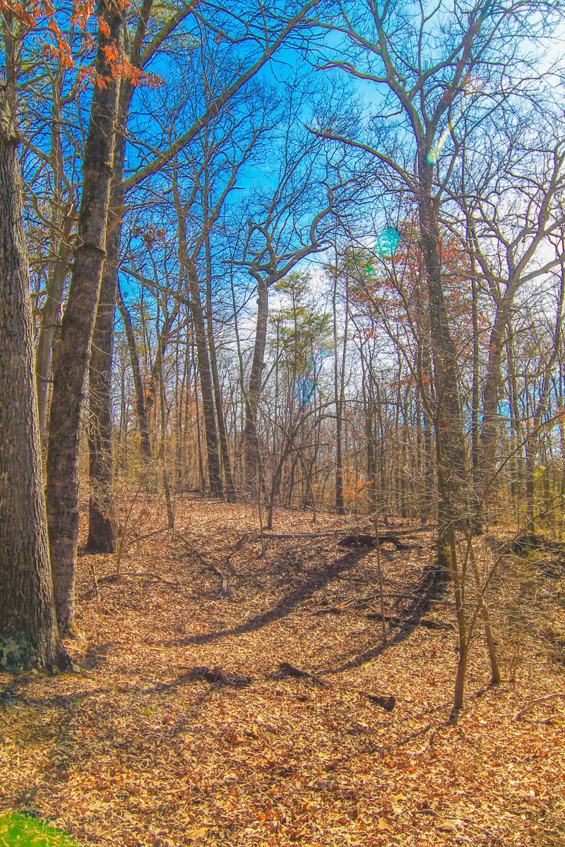 0 Concord Rd, Knoxville, TN 37934