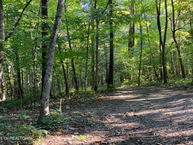 0 Conner Rd, Powell, TN 37849