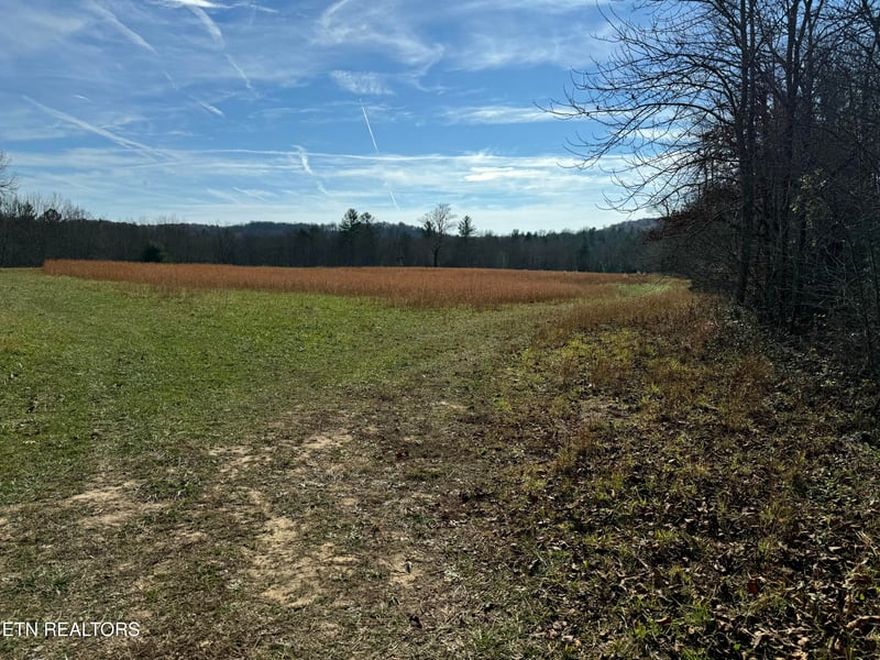 0 Coon Hollow Rd 132&134 Rd, Sunbright, TN 37872