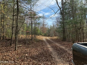 0 Coon Hollow Rd 132&134 Rd, Sunbright, TN 37872