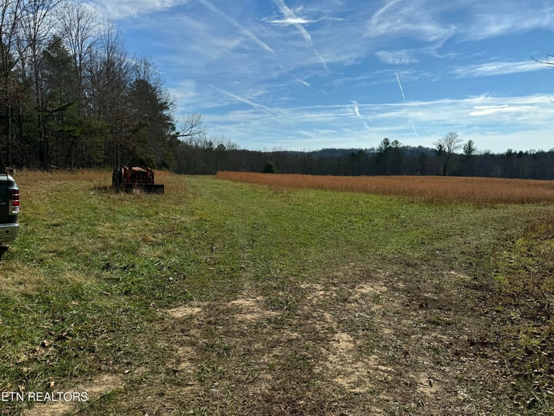 0 Coon Hollow Rd 132&134 Rd, Sunbright, TN 37872