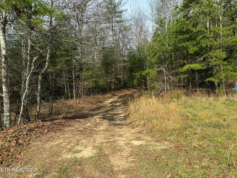 0 Coon Hollow Rd 132&134 Rd, Sunbright, TN 37872