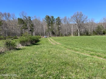 0 Coon Hollow Rd 41 64 Acres, Sunbright, TN 37872
