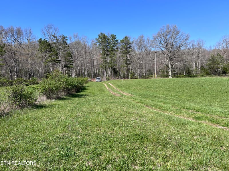 0 Coon Hollow Rd 41 64 Acres, Sunbright, TN 37872