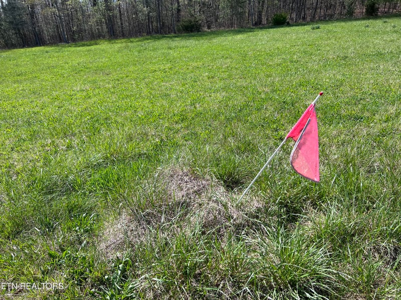 0 Coon Hollow Rd 41 64 Acres, Sunbright, TN 37872
