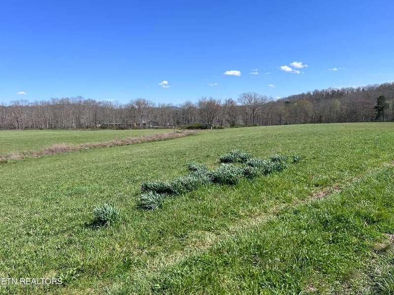 0 Coon Hollow Rd 41 64 Acres, Sunbright, TN 37872