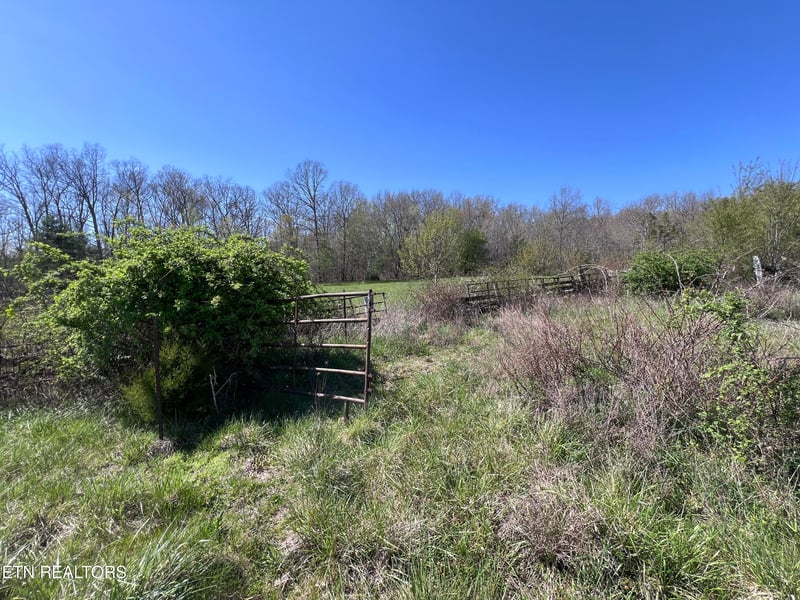 0 Coon Hollow Rd 41 64 Acres, Sunbright, TN 37872