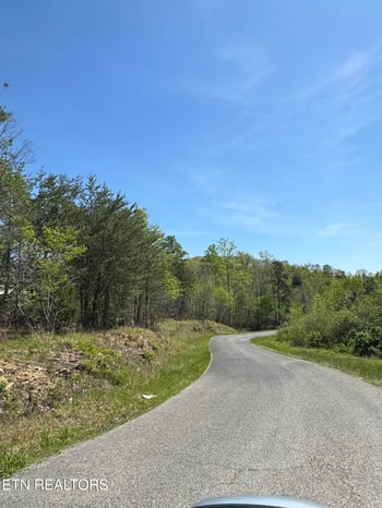 0 Coon Hollow Rd, Sunbright, TN 37872