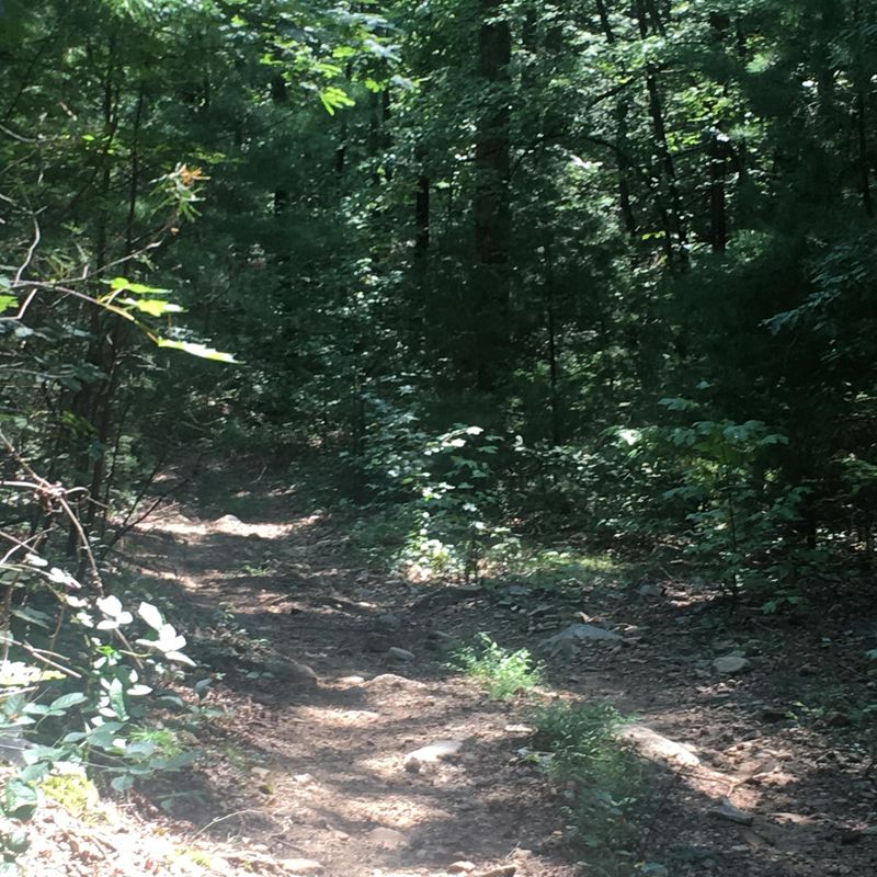 0 Cooper Rd, Tallassee, TN 37878