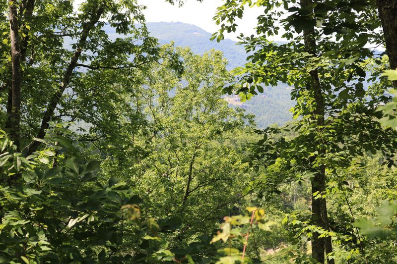 0 Coopers Hawk Way, Sevierville, TN 37876