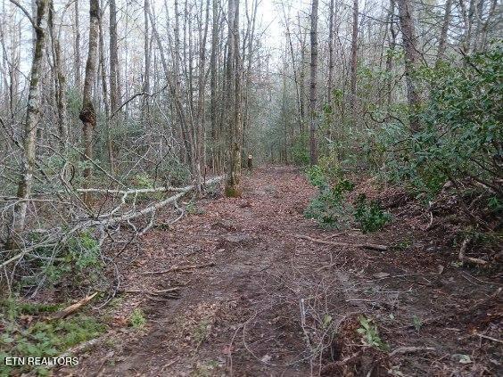 0 Copperhead Rd, Oakdale, TN 37829