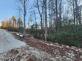 0 Copperhead Rd, Oakdale, TN 37829