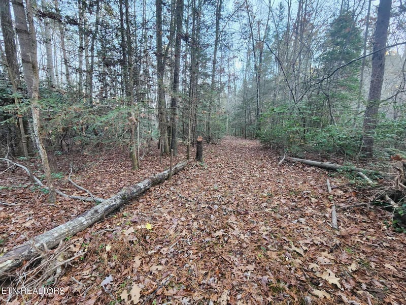 0 Copperhead Rd, Oakdale, TN 37829