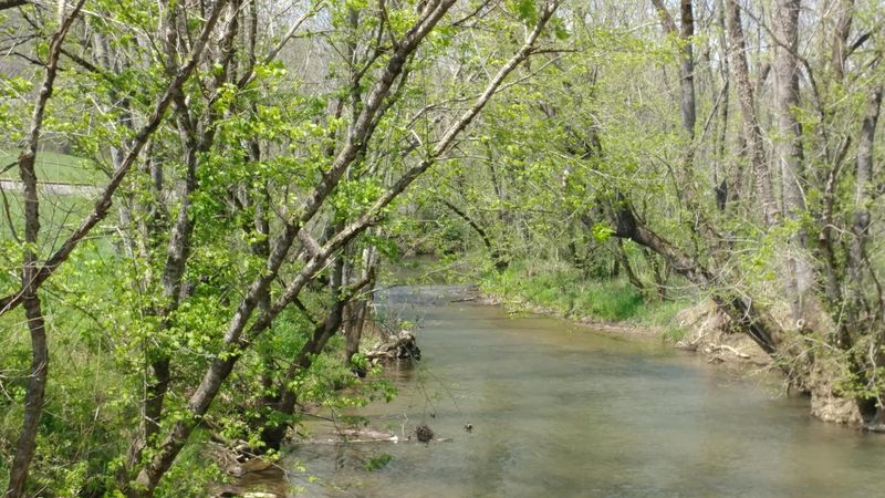 0 Corryton Luttrell Rd, Luttrell, TN 37779