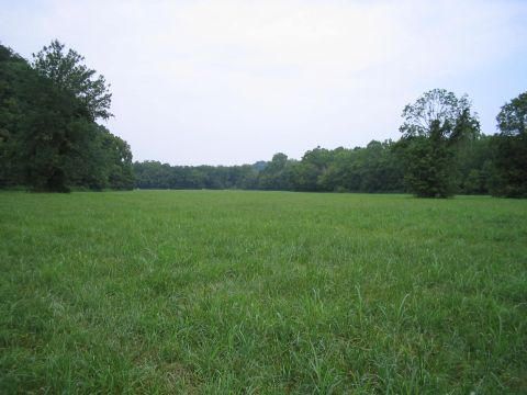 0 Corryton Luttrell Rd Off Rd, Luttrell, TN 37779