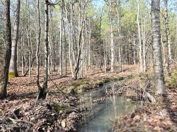 0 Cottonwood Tr, Sunbright, TN 37872