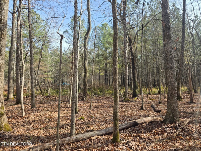 0 Cottonwood Tr, Sunbright, TN 37872