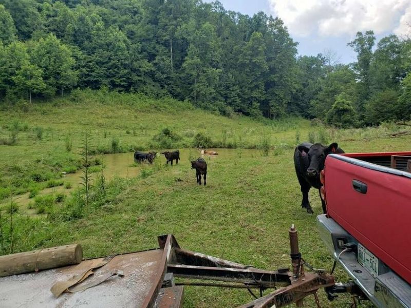 0 Country Farm Ln, Rutledge, TN 37861
