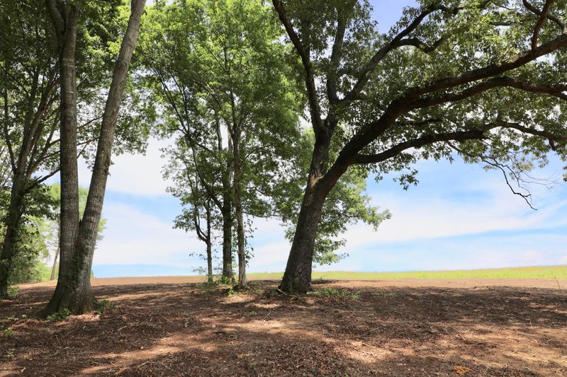 0 Country Way Rd, Vonore, TN 37885