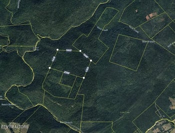 0 County Line, Rockwood, TN 37854